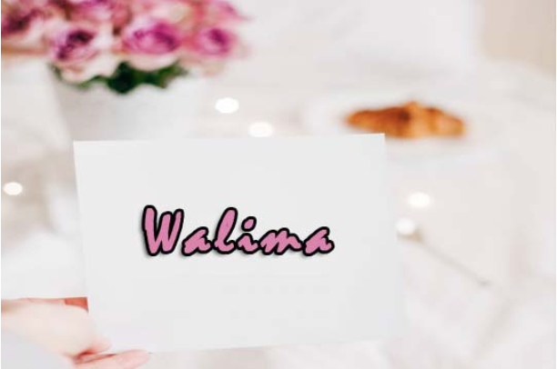 Walima (Reception)
